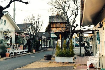 🏘️ 존슨 마을 (존슨타운) 이미지 2